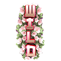 Fruit Zen Expanding Wild